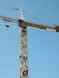  une grue
